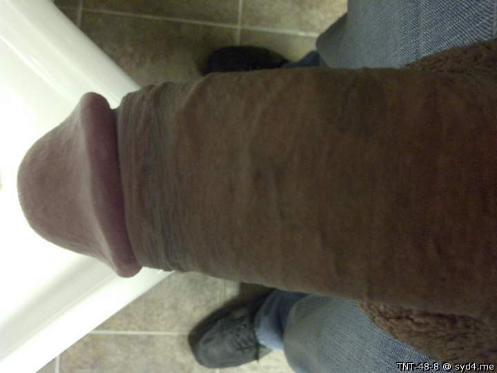 Adult image from TNT-48-8