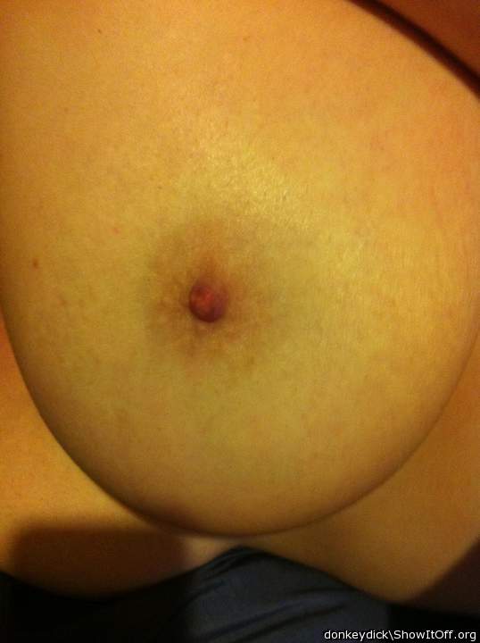 Adult image from donkeydick