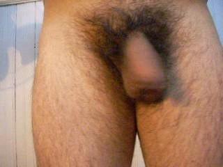 Adult image from chilenito_thno