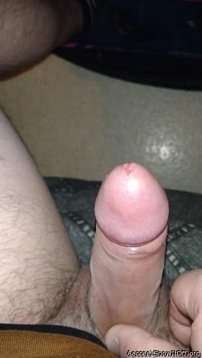 Adult image from Aaccee