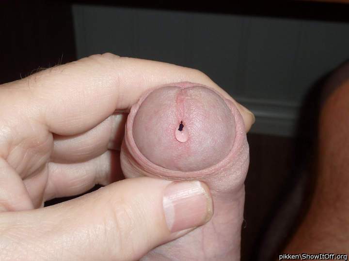 Adult image from pikken