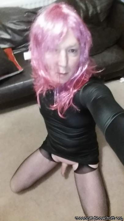Adult image from mooncat