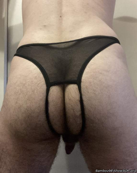 Adult image from Bambou98