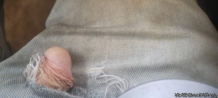 Adult image from 15x55