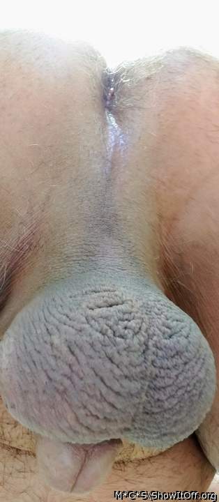 Adult image from M*C*S