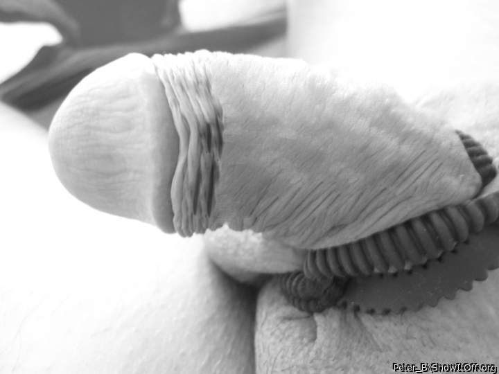 Adult image from peter_b