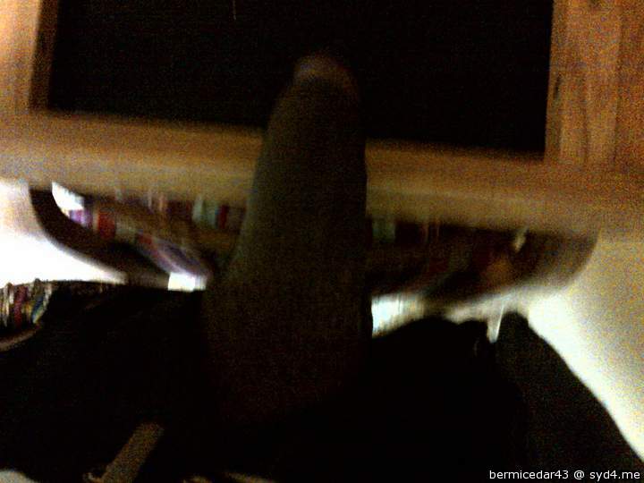 Adult image from bermicedar43