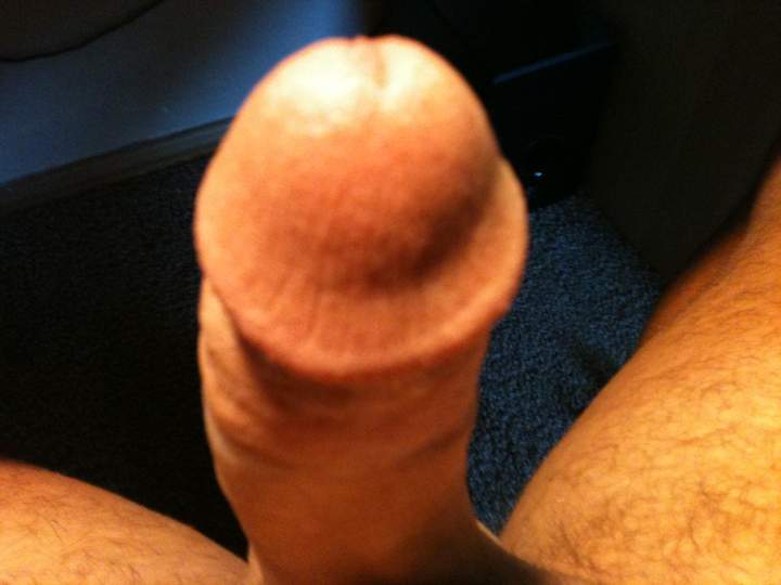 Adult image from messini
