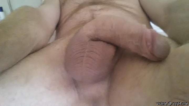 Adult image from vicline