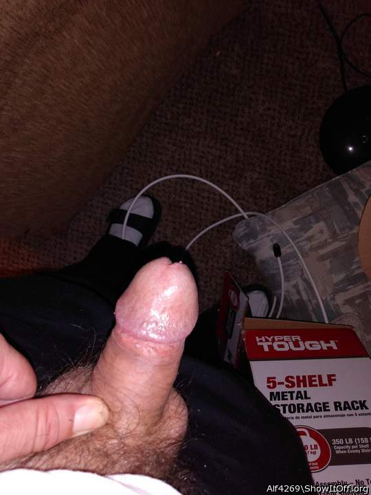 Adult image from Alf4269