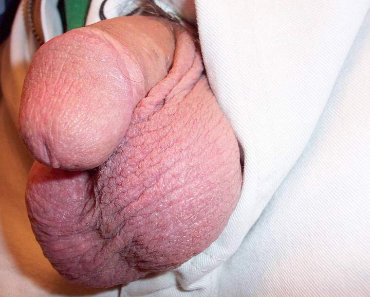 Adult image from lilsoftee