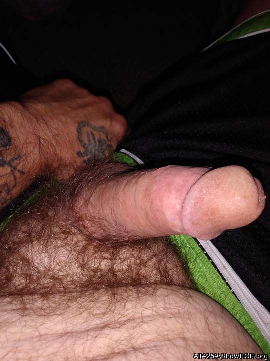 Adult image from Alf4269