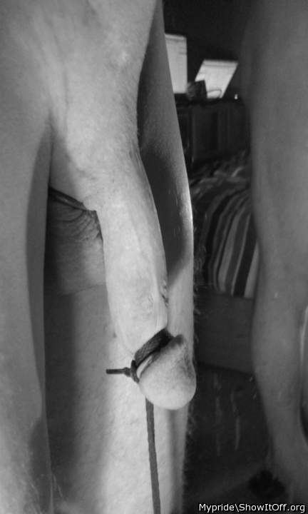 Adult image from Mypride