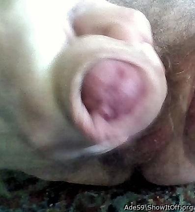 Adult image from Ade59