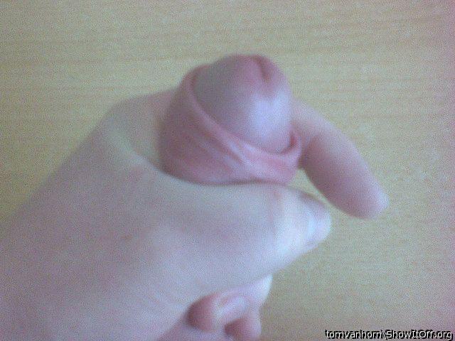 Adult image from tomvanhorn