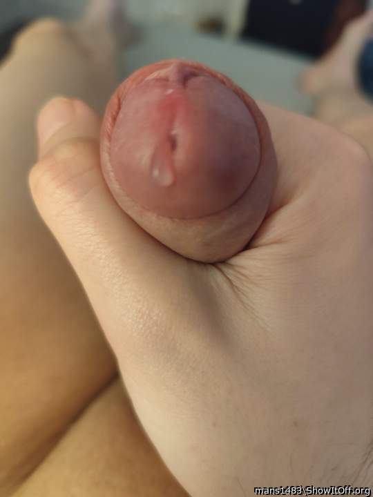 Adult image from mans1483