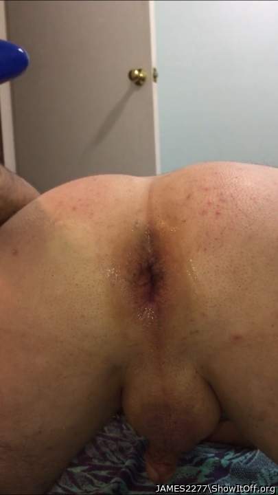 Adult image from JAMES2277