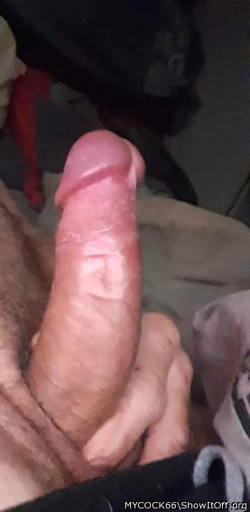 Adult image from MYCOCK66