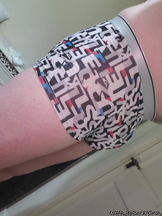 Adult image from Ant101_10