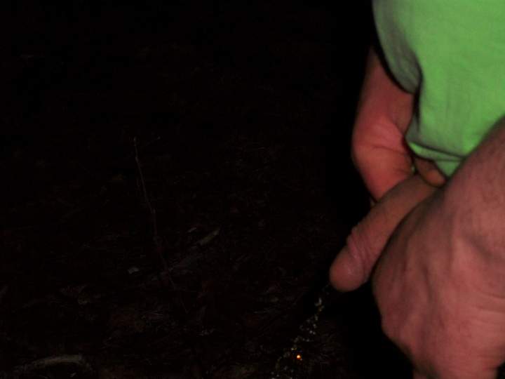 Adult image from avgcock