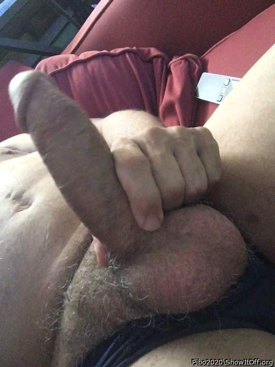 Adult image from Pibo2020