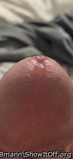 Adult image from Bmann
