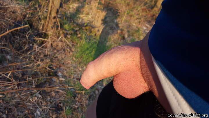 Adult image from covas