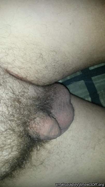 Adult image from smallcockboy