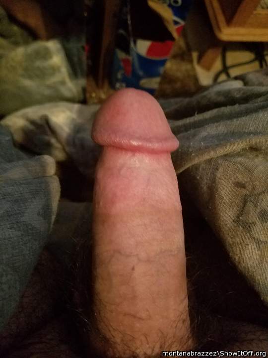Adult image from Montanabrazzez