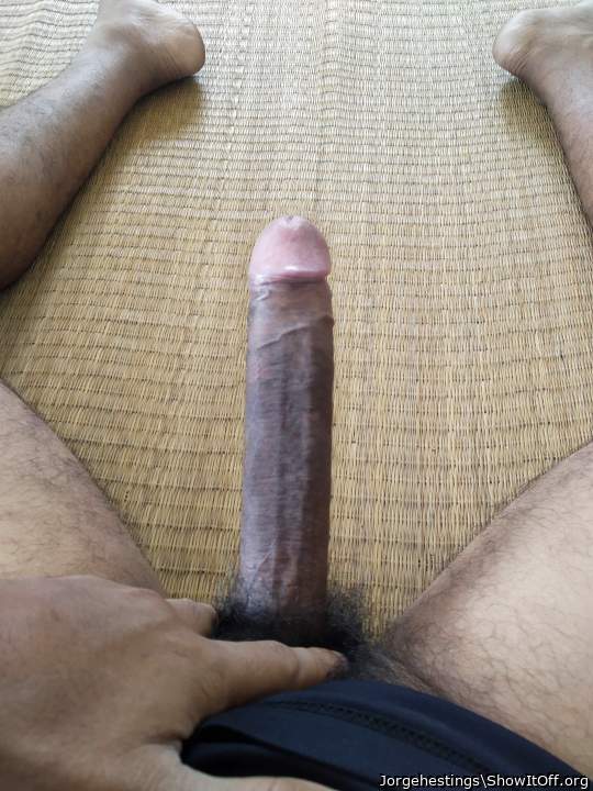 Adult image from Jorgehestings