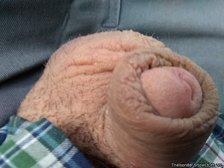 Adult image from Tnelson88