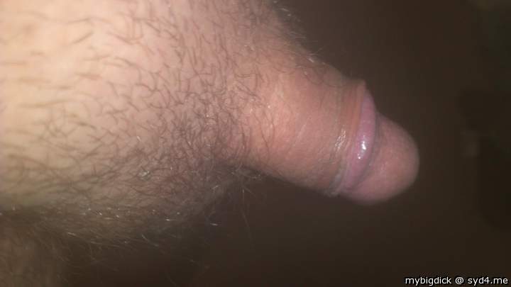 Adult image from mybigdick