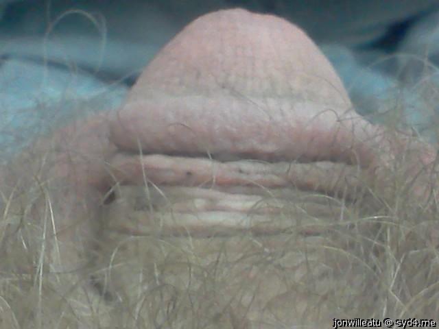 Adult image from jonwilleatu