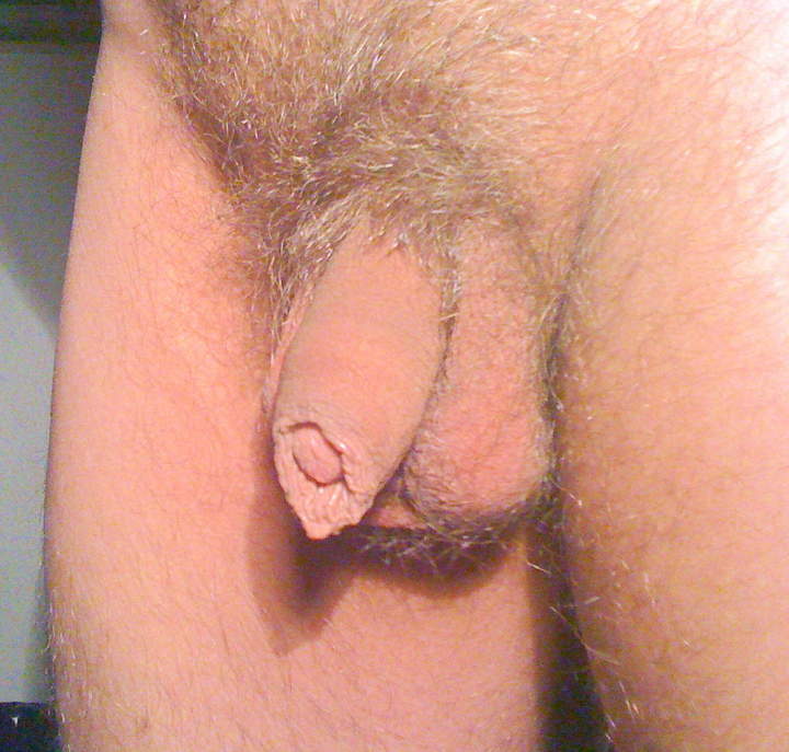 Adult image from Tommotino