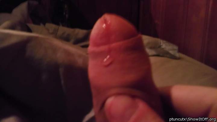 Adult image from ptuncutx