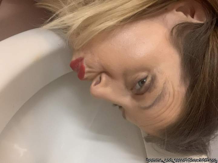 Licking toilet