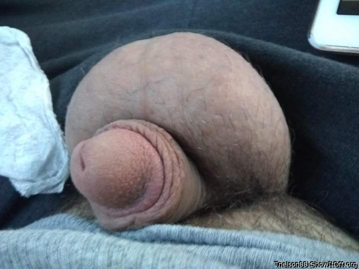 Adult image from Tnelson88