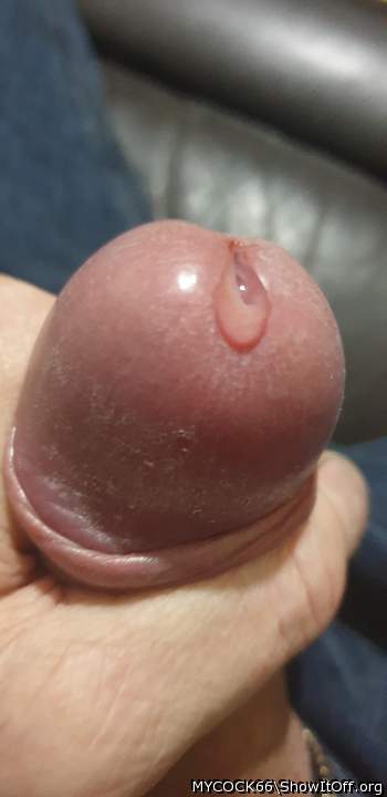 Adult image from MYCOCK66