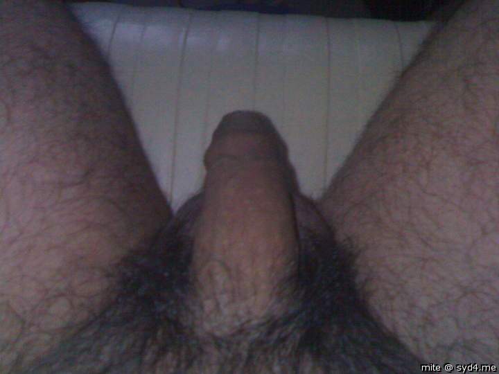 Adult image from mite
