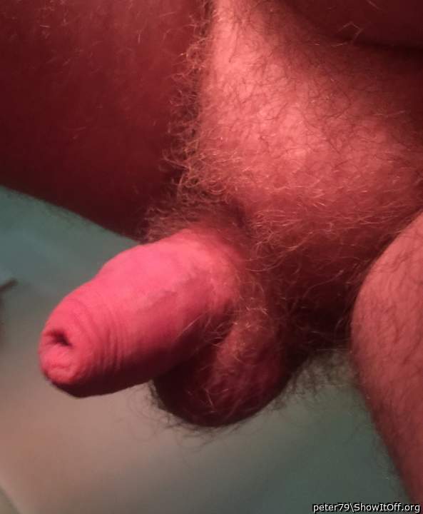 Adult image from peter79