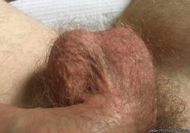 Adult image from peter79