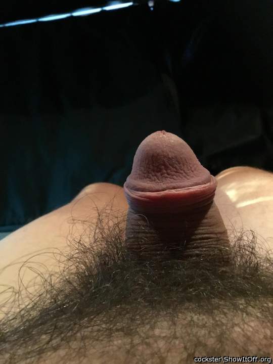 Adult image from Cockster