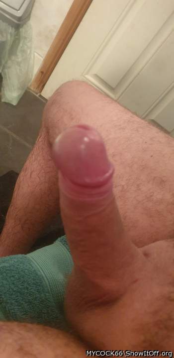 Adult image from MYCOCK66