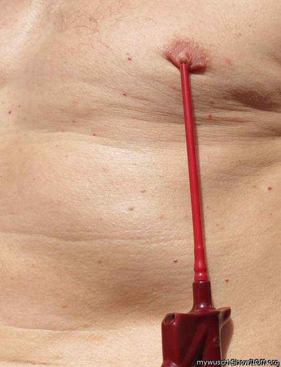 Adult image from mywusch