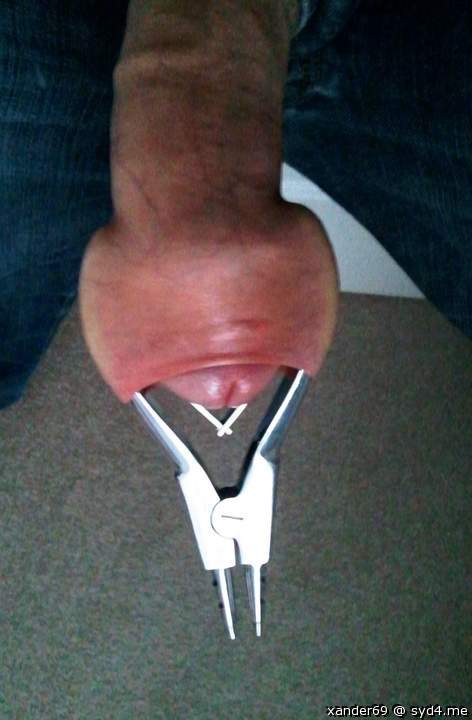 Adult image from xander69