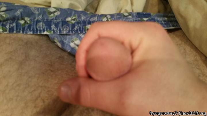 Daddy Bear's Meat
