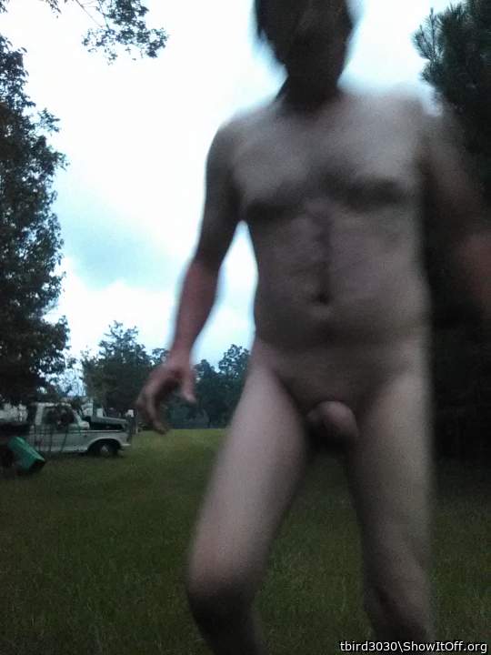 Adult image from tbird3030