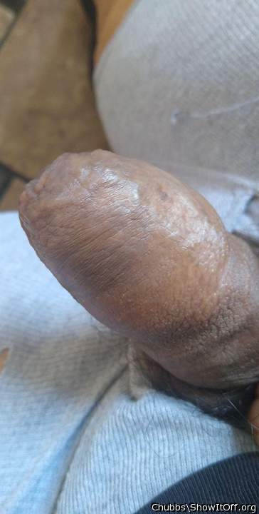 Adult image from Chubbs