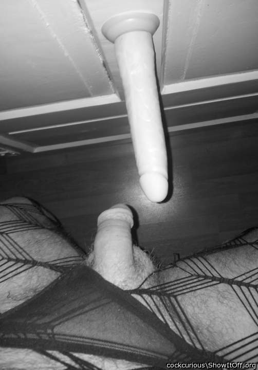 Adult image from CockCurious