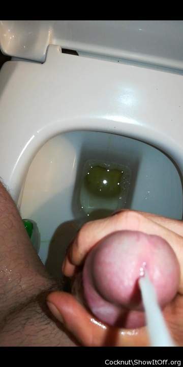 Adult image from Cocknut